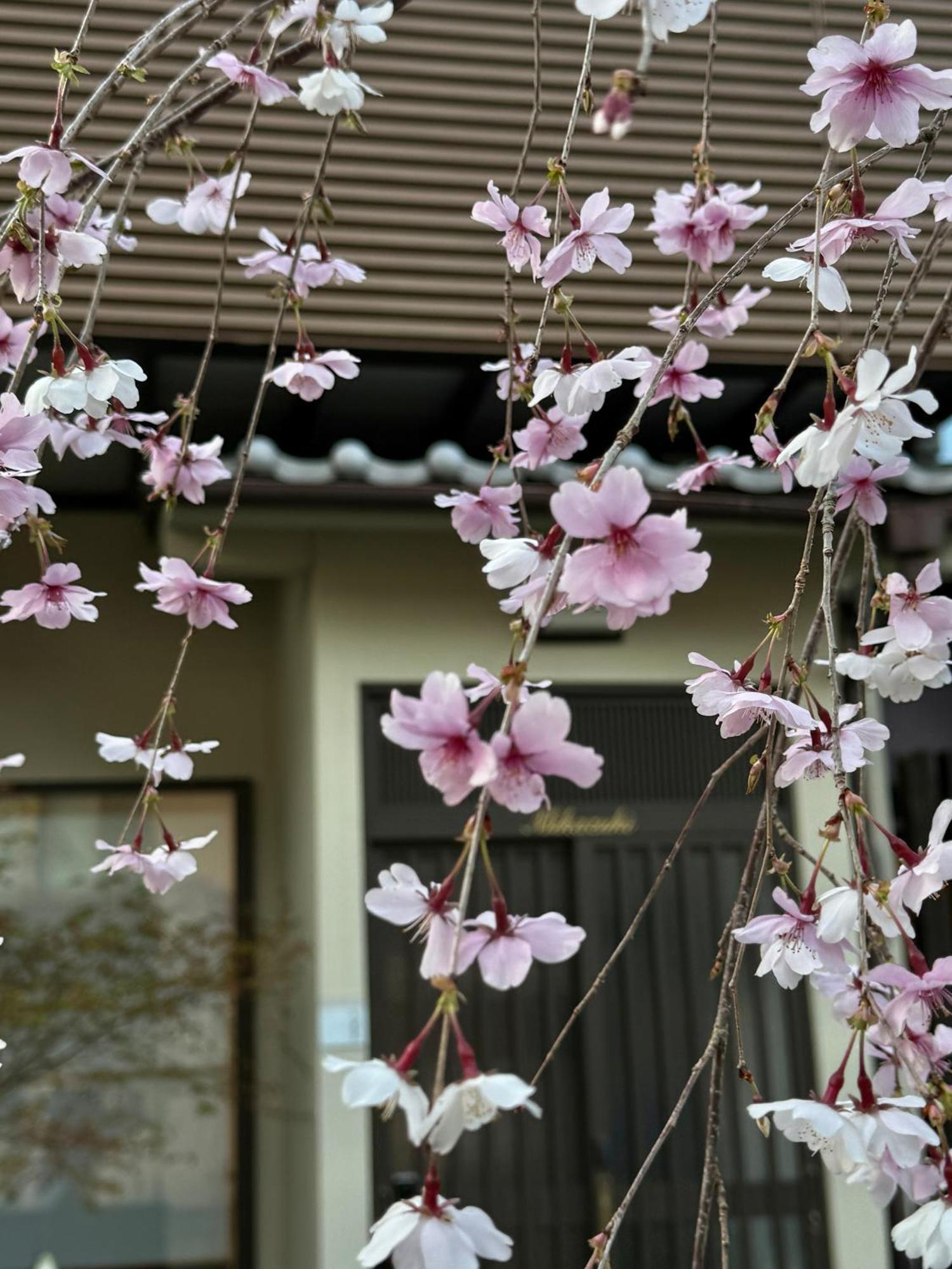 京都 三日月 Mikazuki Exterior foto